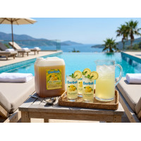 çardak konsantre meyve aromalı içecek 1+5 limonata 5 lt 2 adet