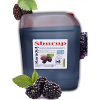 shurup's konsantre meyve aromalı içecek 5,7 KG karadut 1+9